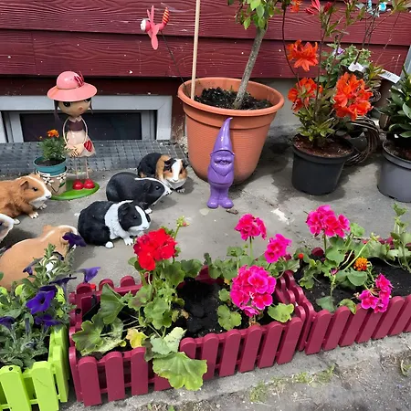Apartamento Silbergarten